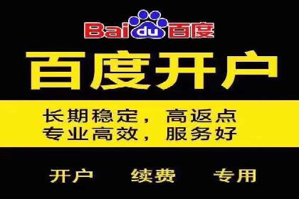 百度竞价账户托管成功案例，揭秘广告投放秘诀